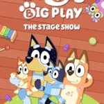 Movie: Bluey’s Big Play (2025)